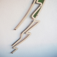 Walking stick - Diesbachia tamyris